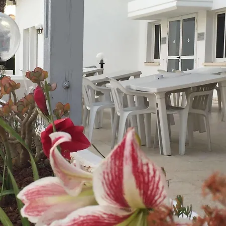 Hotel de apartamente Blue Crane Apts Limassol